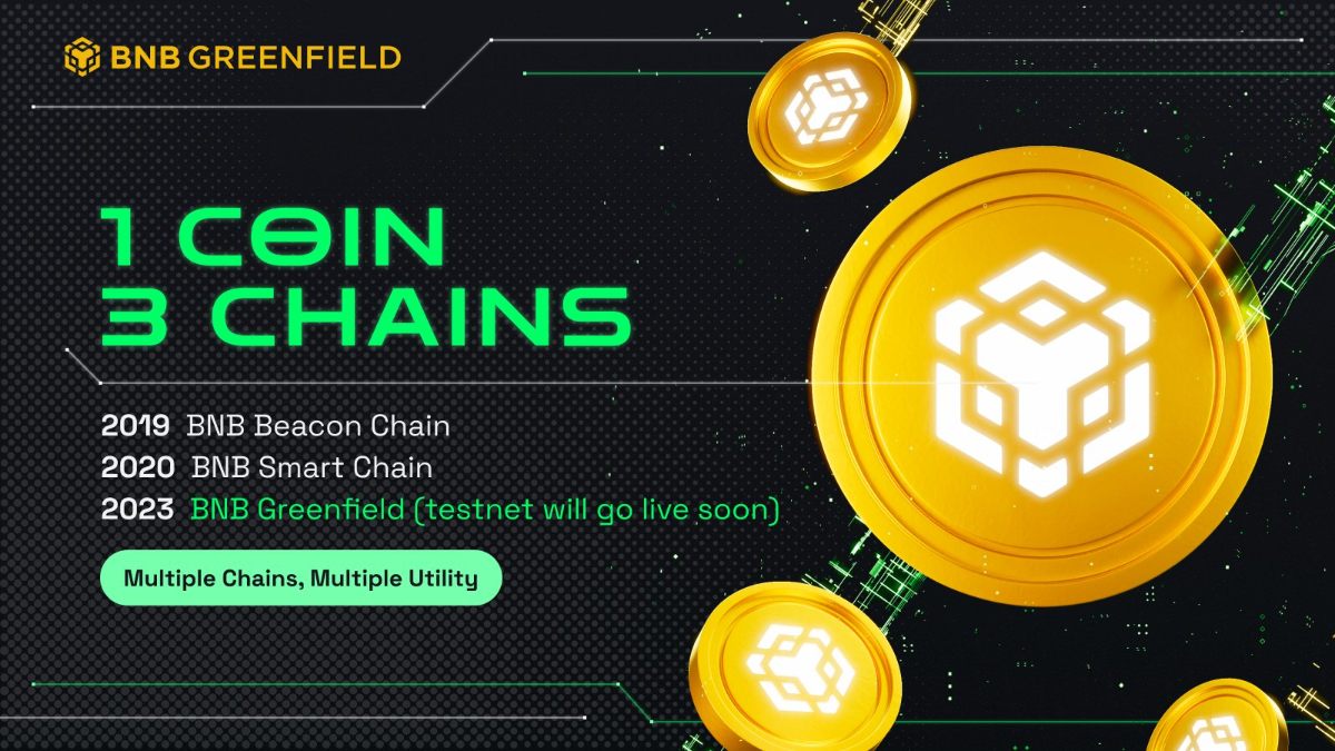 BNB coin đại diện cho 3 blockchain.