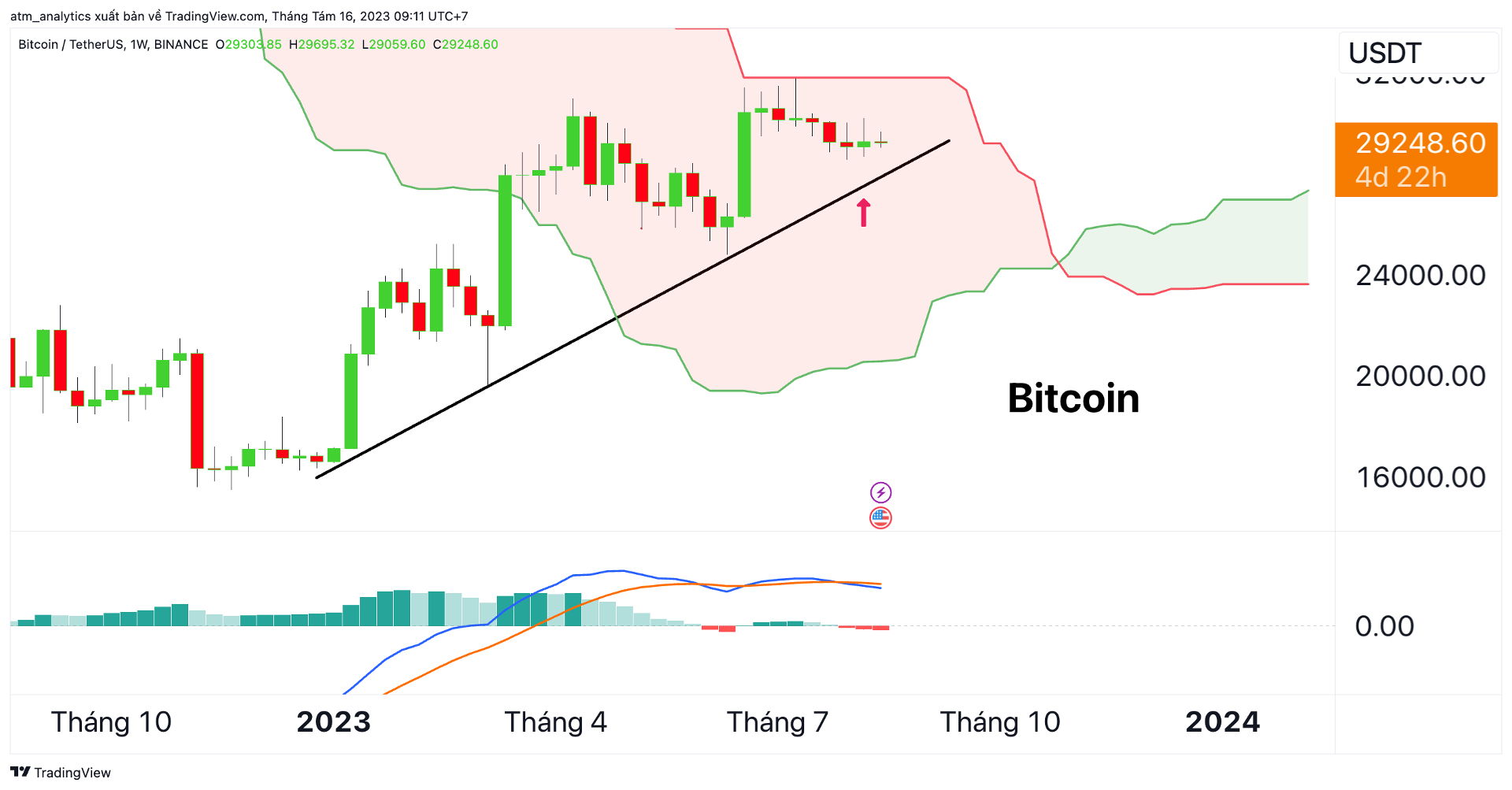 btc w 16 8