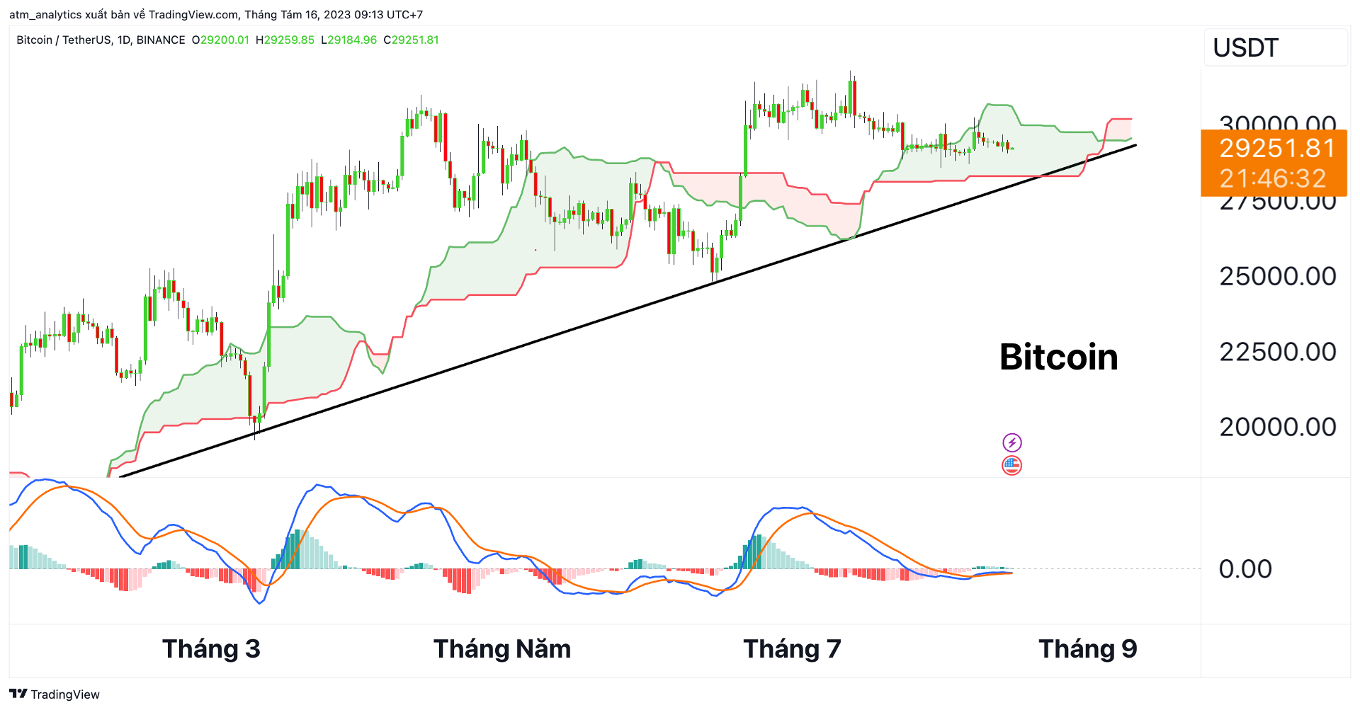 btc d 16 8