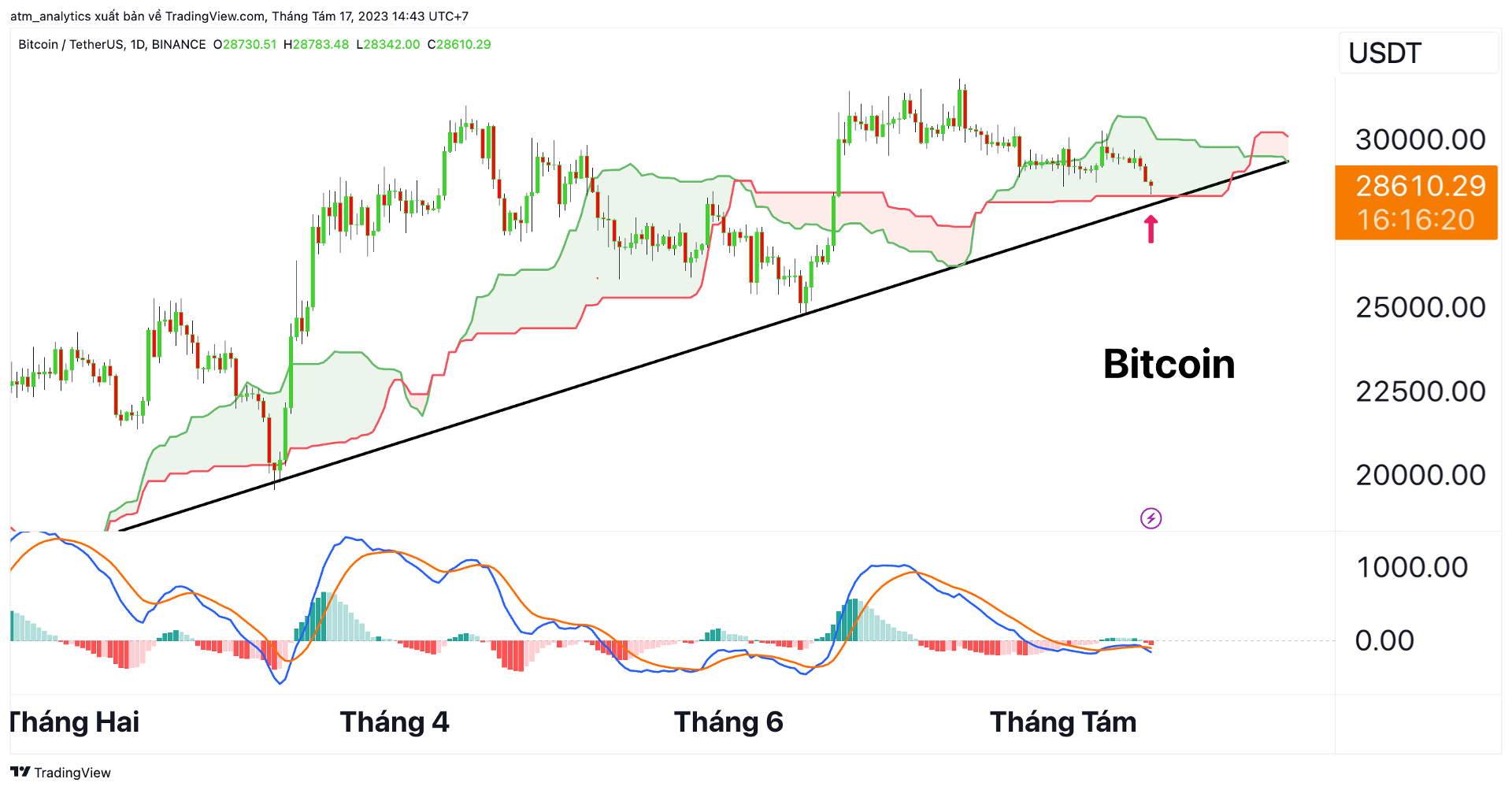 btc d 17 8