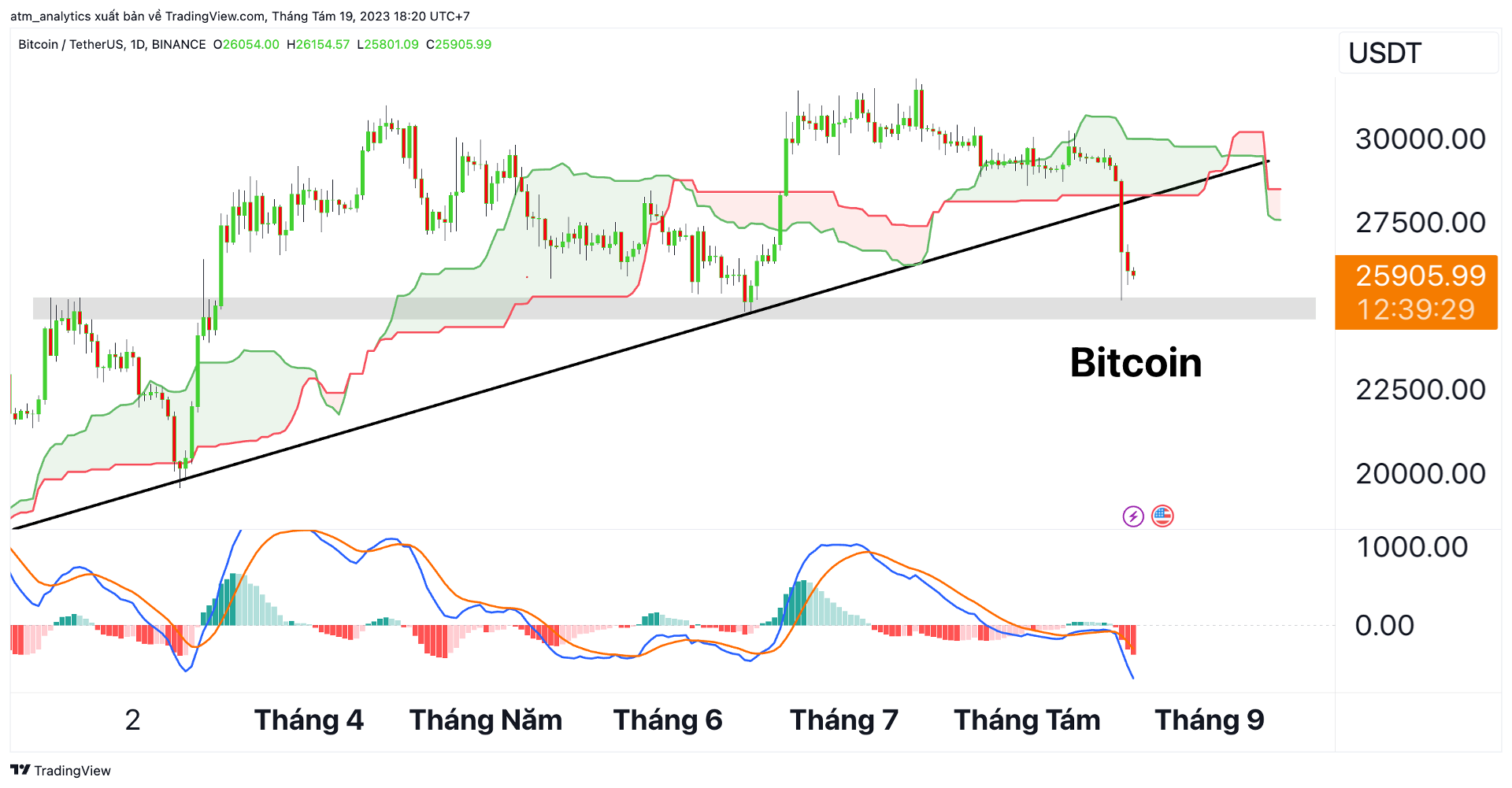 btc d 19 8