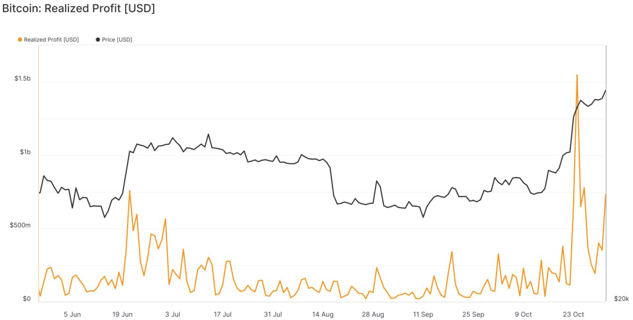 lợi nhuận thực các ví  btc