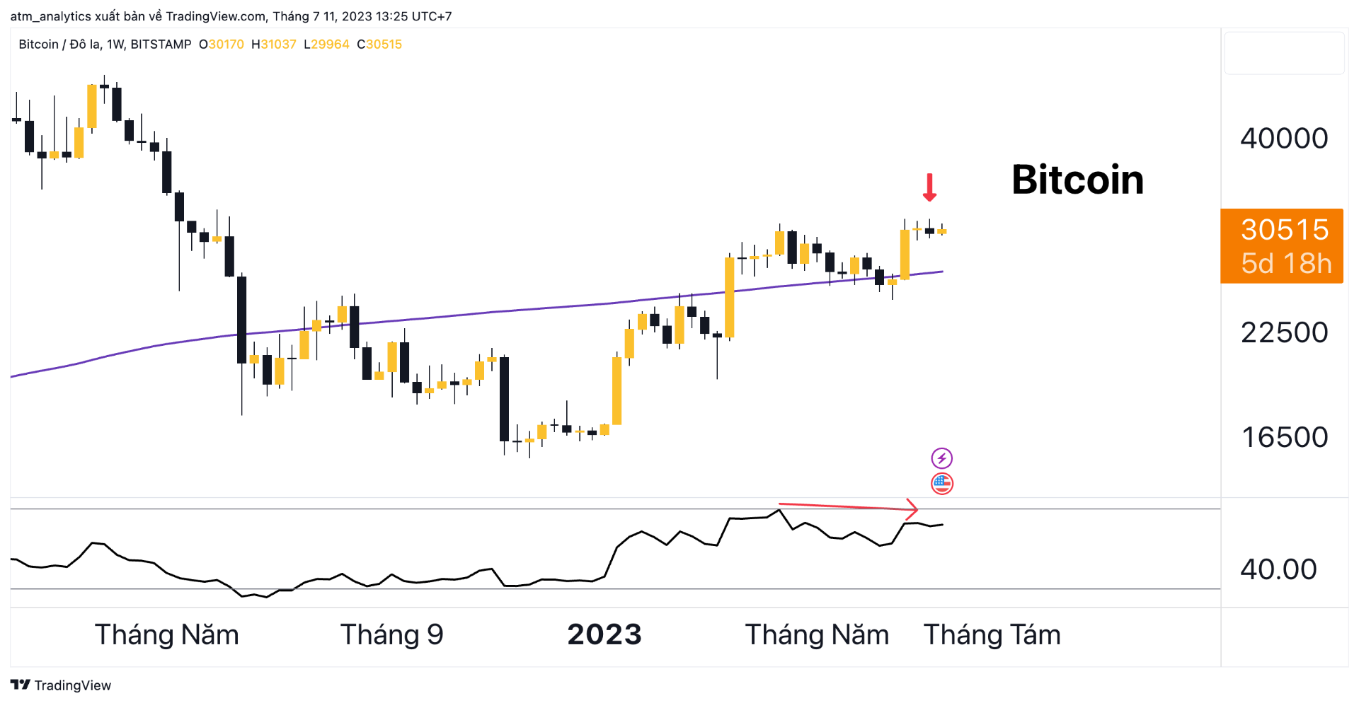 chart btc usdt khung tuần