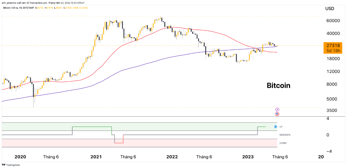 btc w 23 5