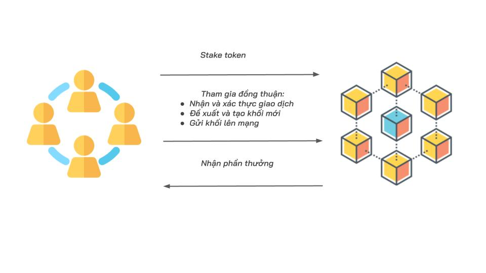 cơ chế hoạt động của validator