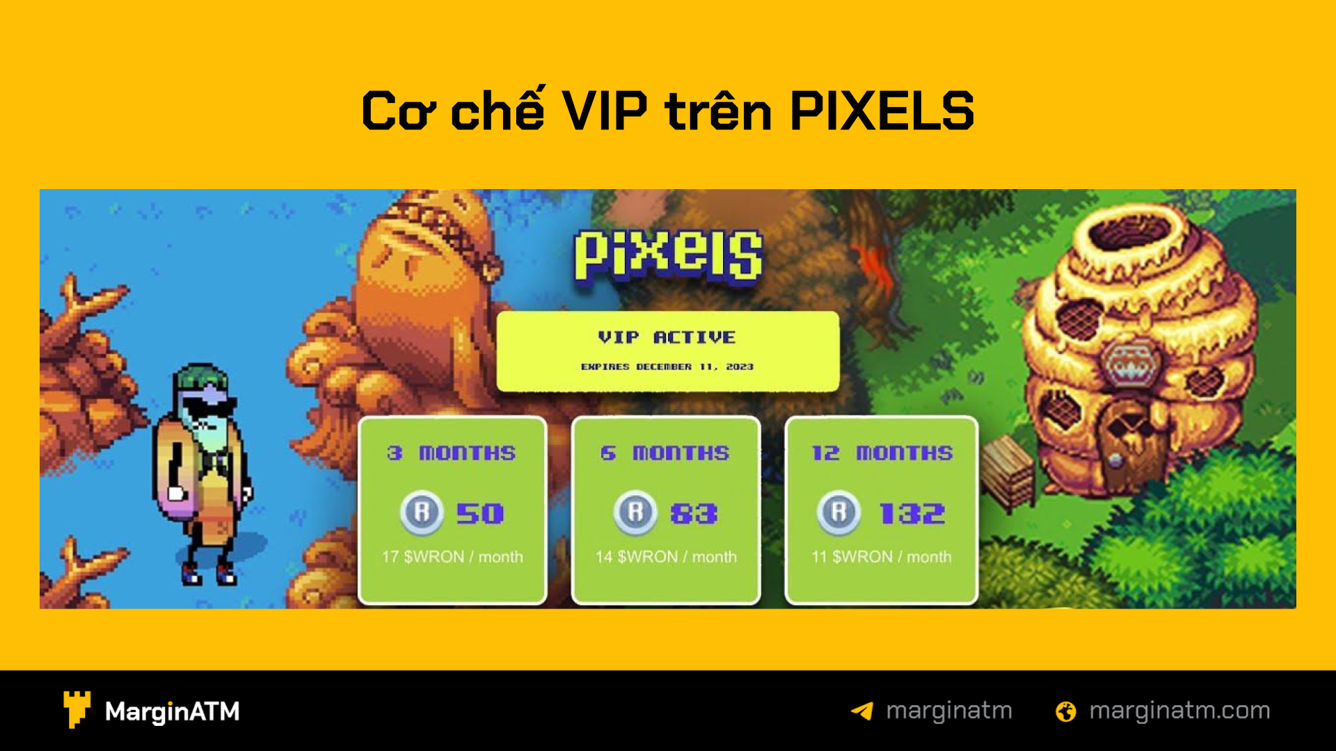 cơ chế vip pixels