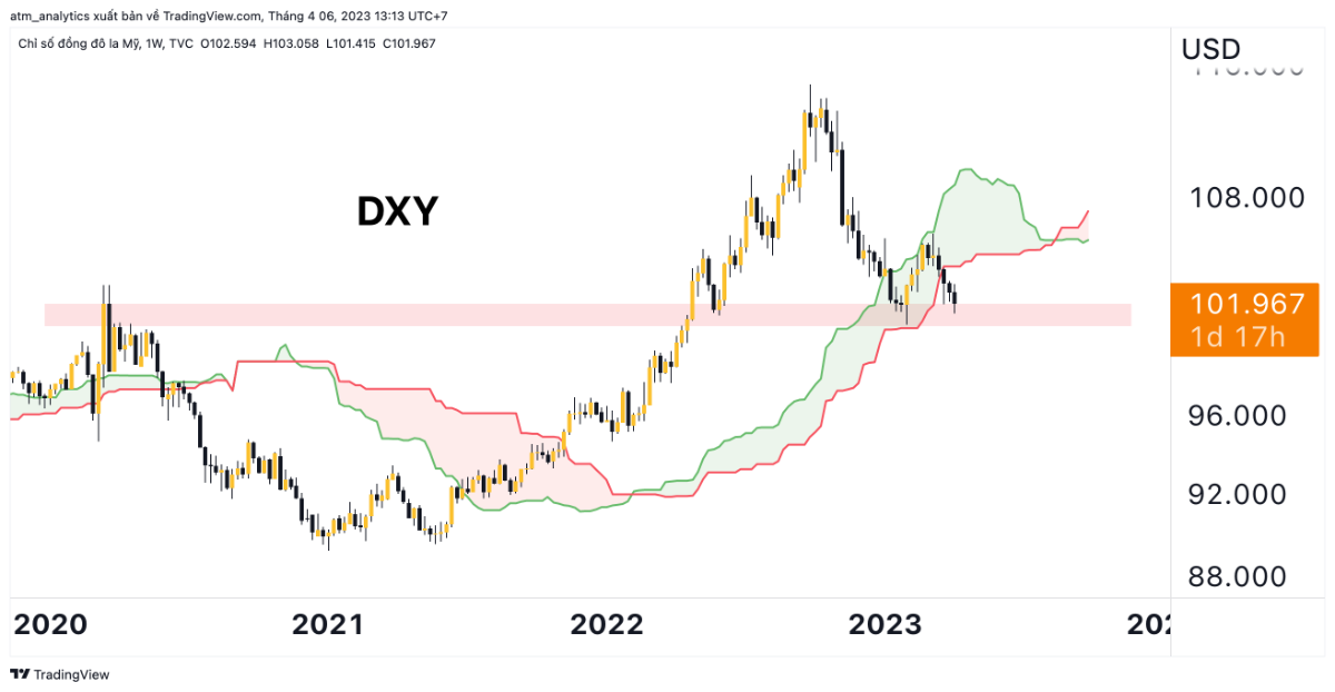 dxy w 6 4