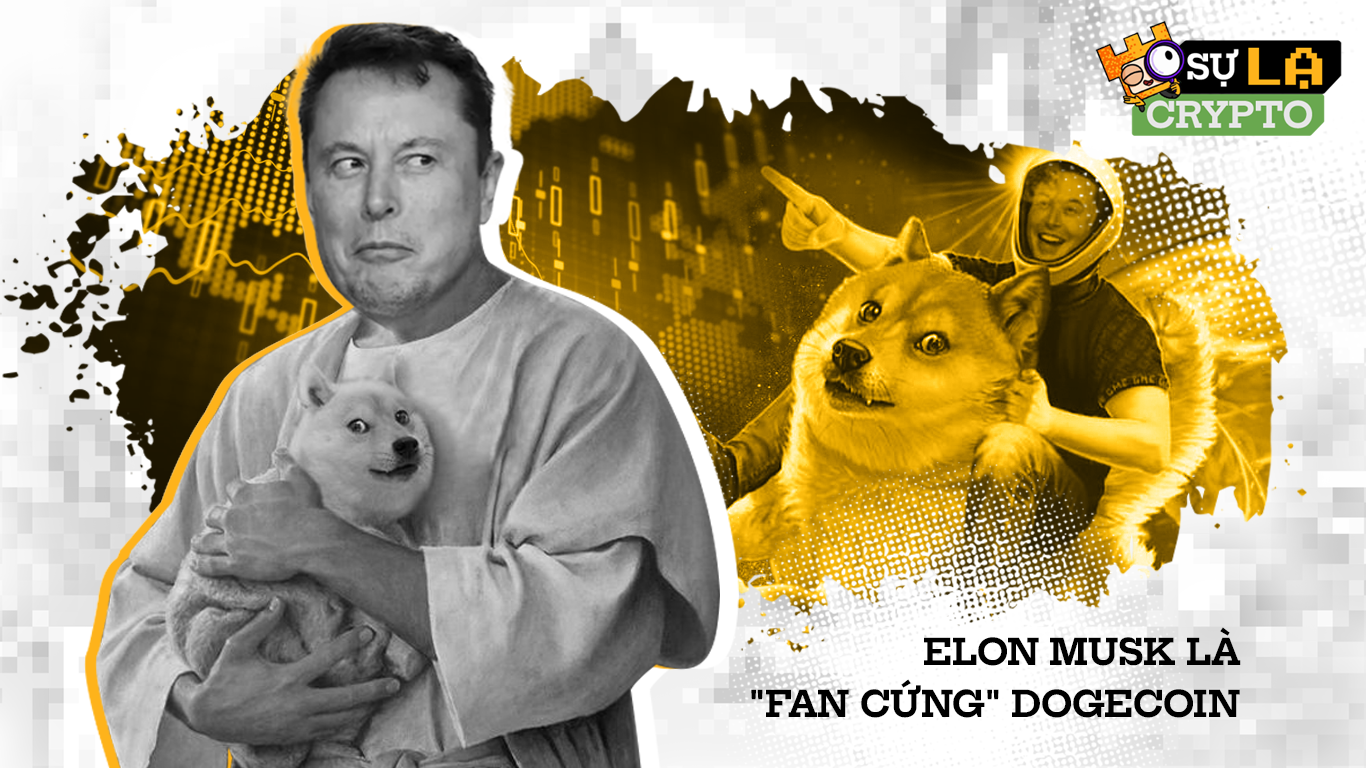 elon musk là một fan cứng của dogecoin