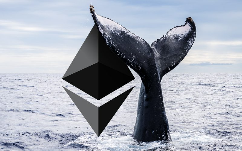 https://file.coin98.com/images/ethereum-whale-soOxHANrfbZSiZAH.png