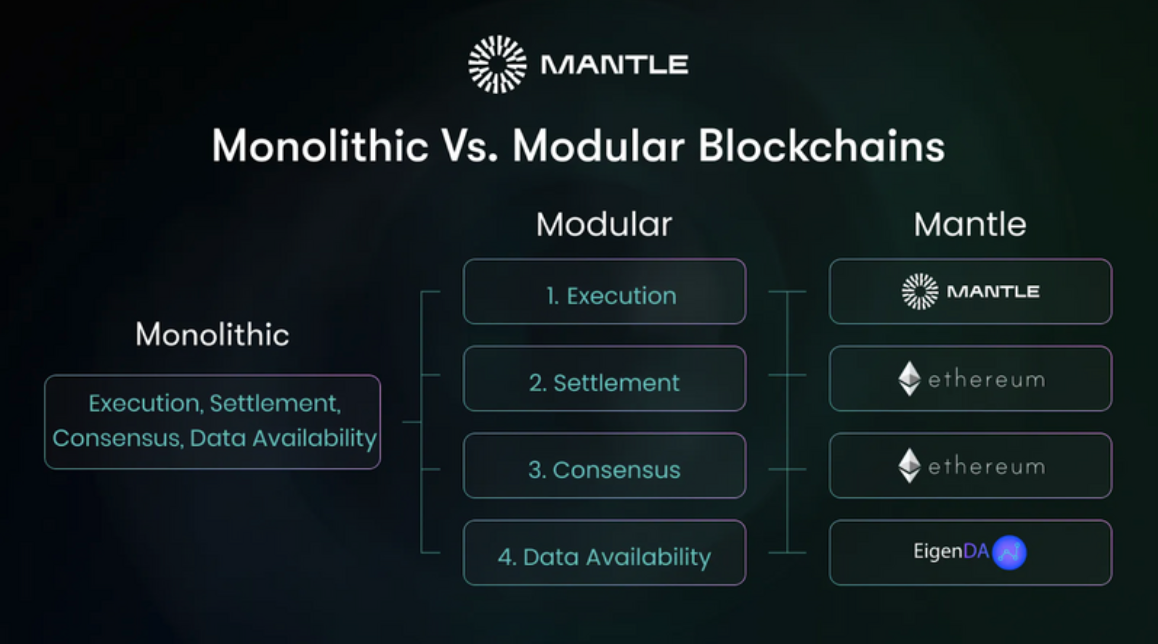 đặc điểm của mantle network