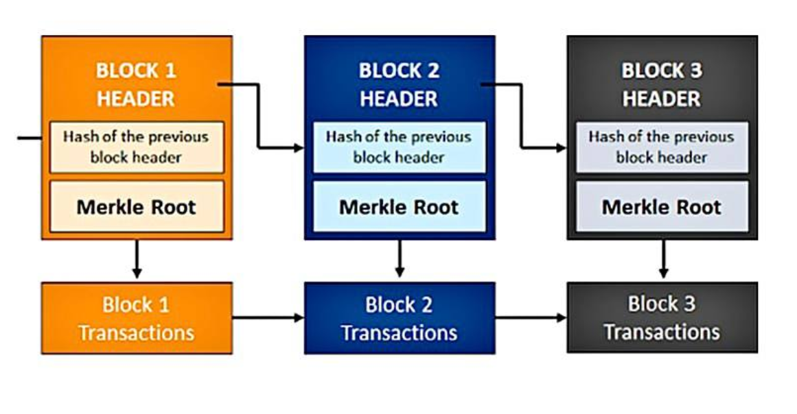 merkle tree  chia dữ liệu thành những phần thông tin nhỏ