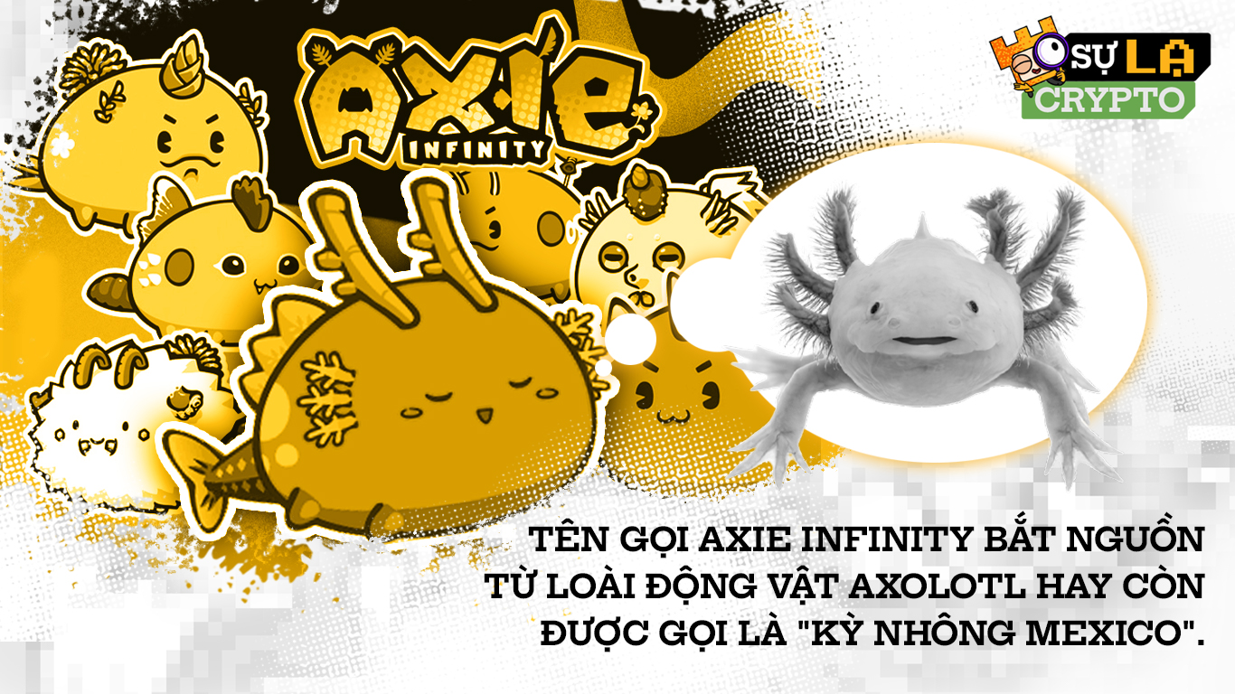 axie bắt nguồn từ loài vật axolot