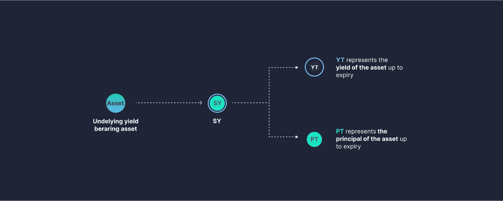 các loại token trên pendle finacne