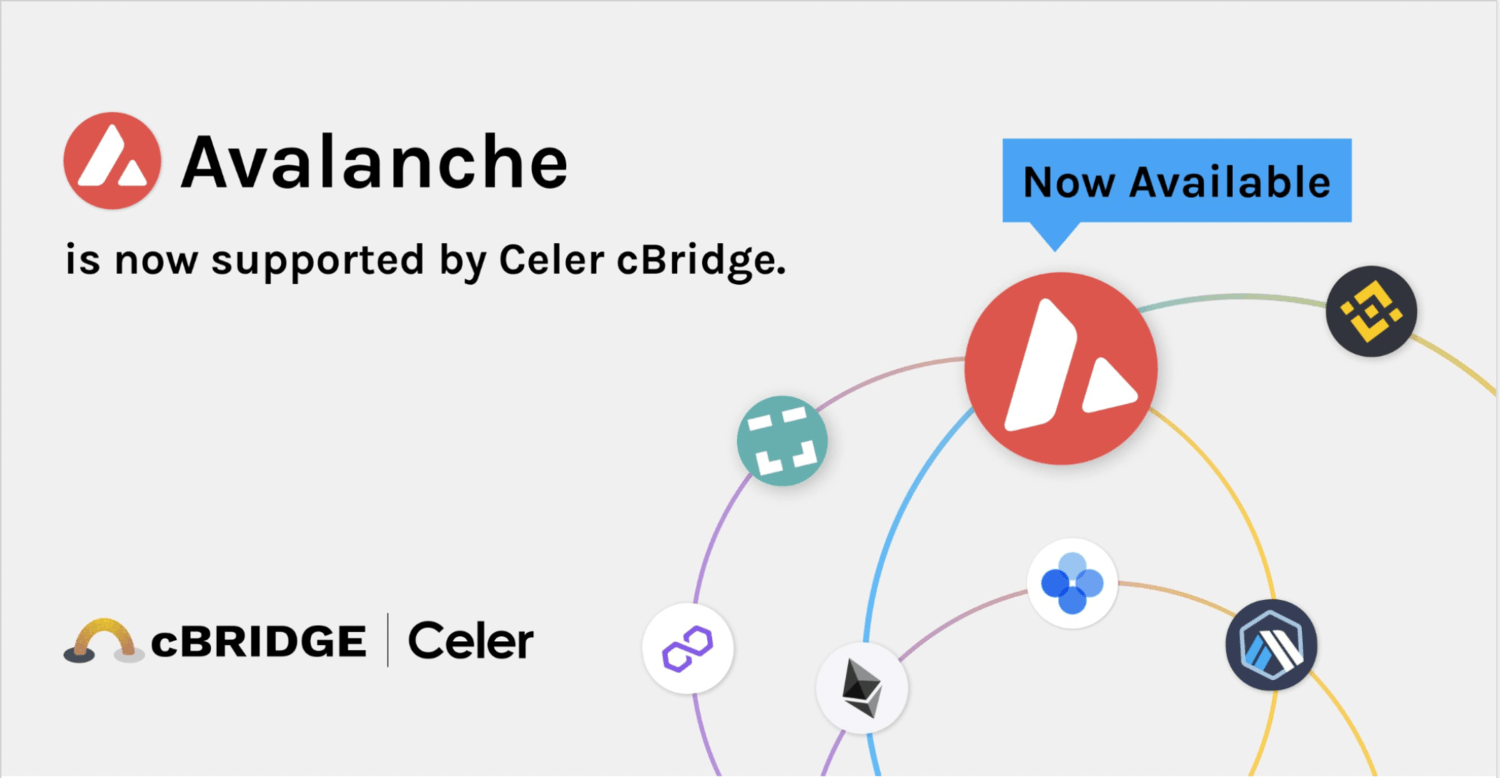 celer avalanche bridge