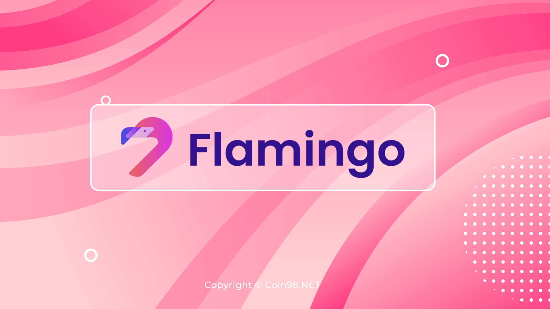 flamingo là gì