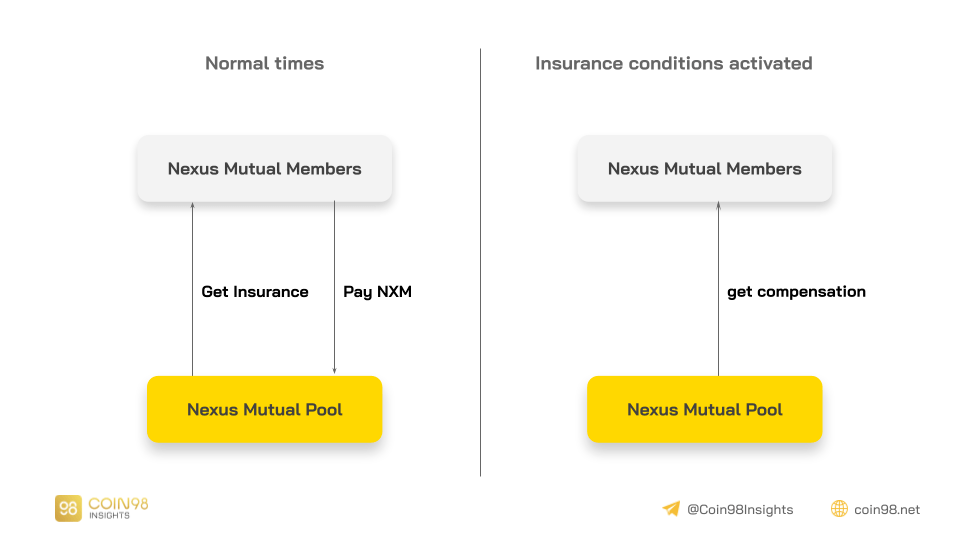 Mô hình Nexus Mutual