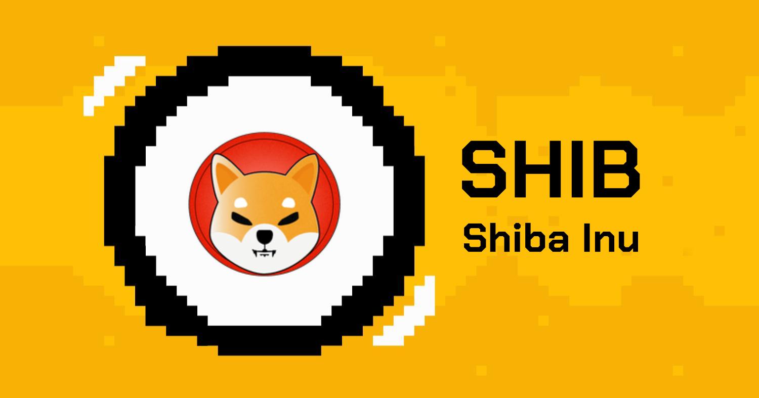 shib shiba inu