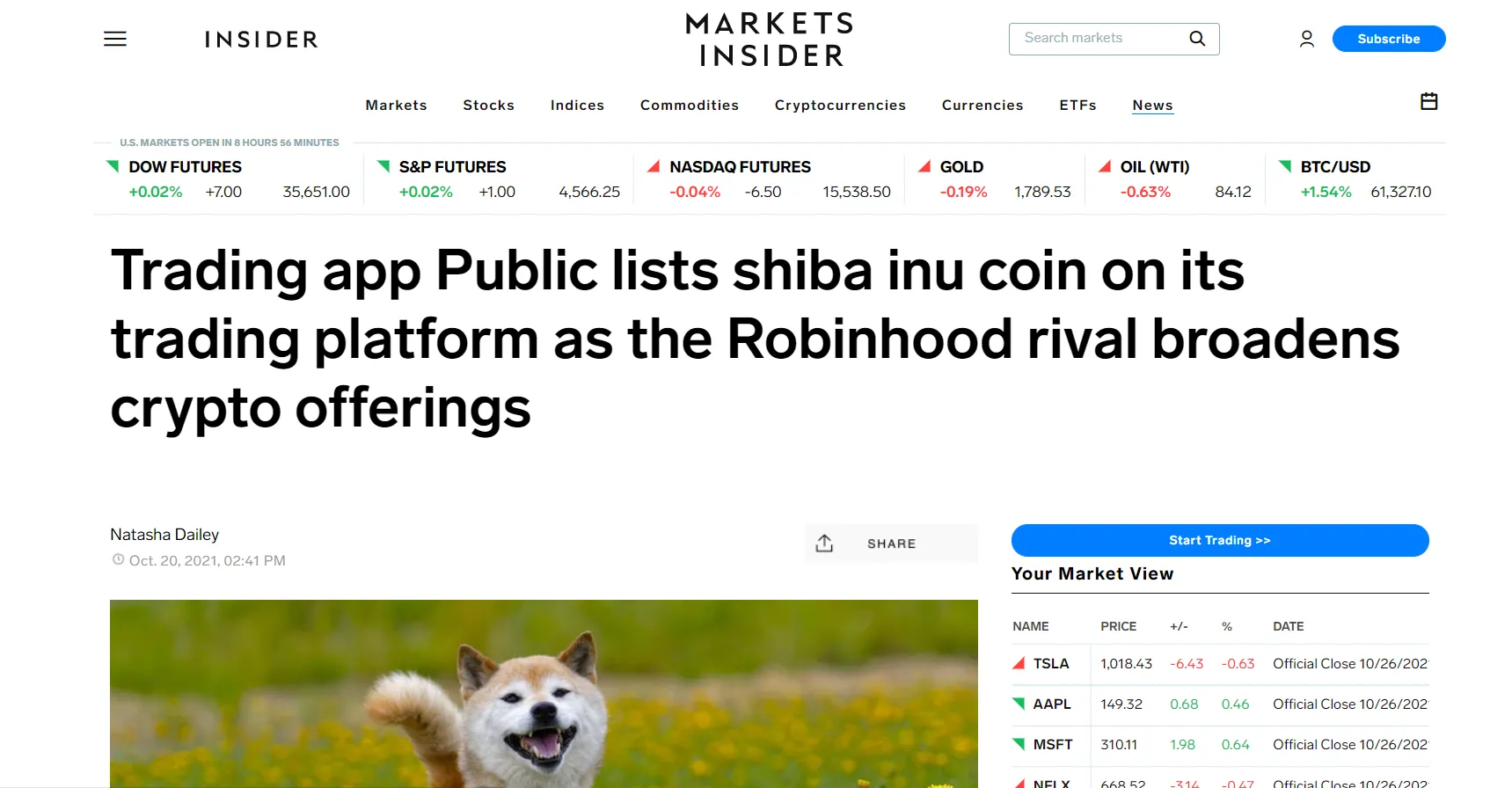 insider report shib