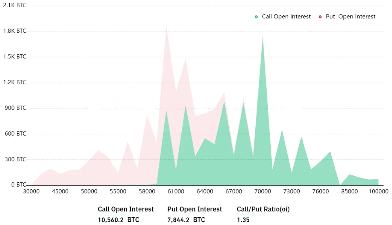 btc call open interest