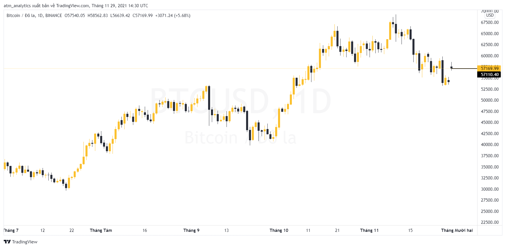 btc giá 57169