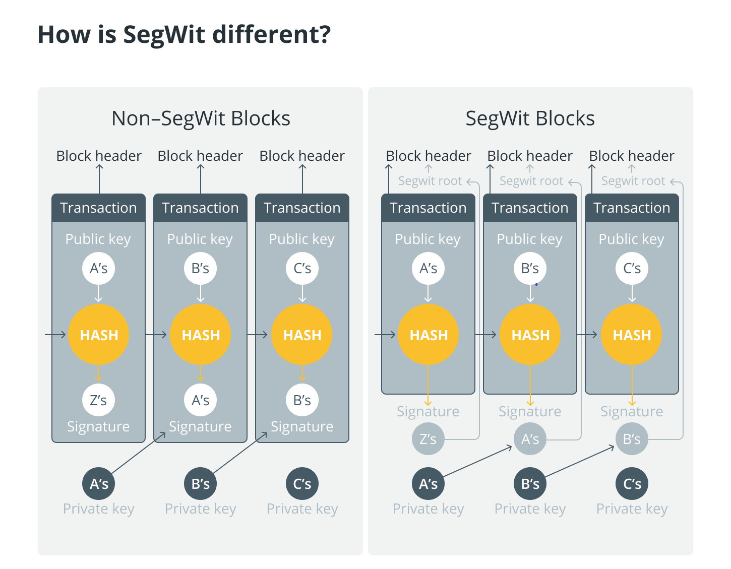 segwit block