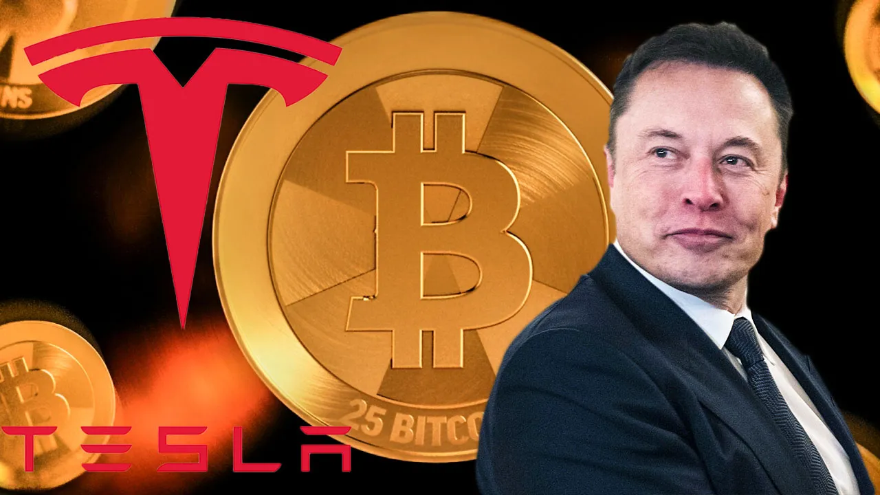 tesla gom btc