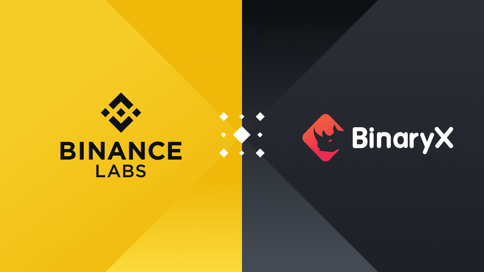 binance labs binaryx