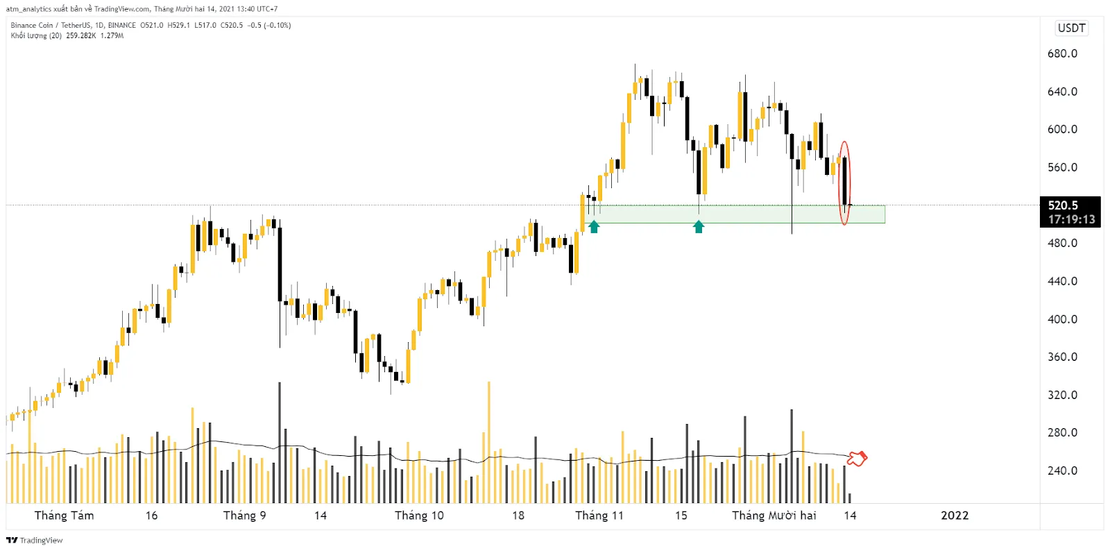 chart bnb usdt d