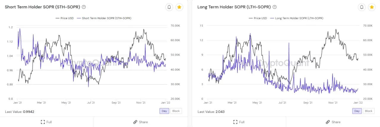 long term holder và short term holder