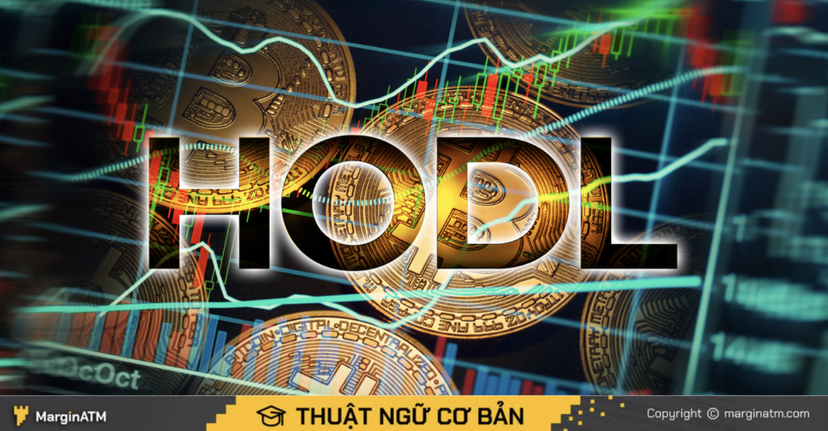 hodl coin