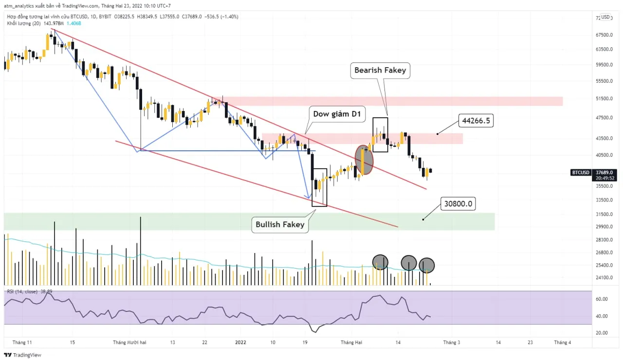 chart btc usdt khung d