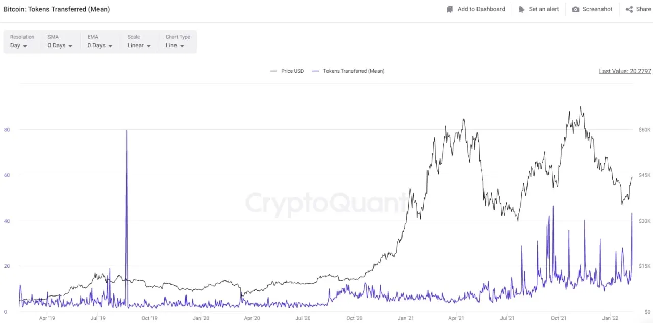 chỉ số token transfer