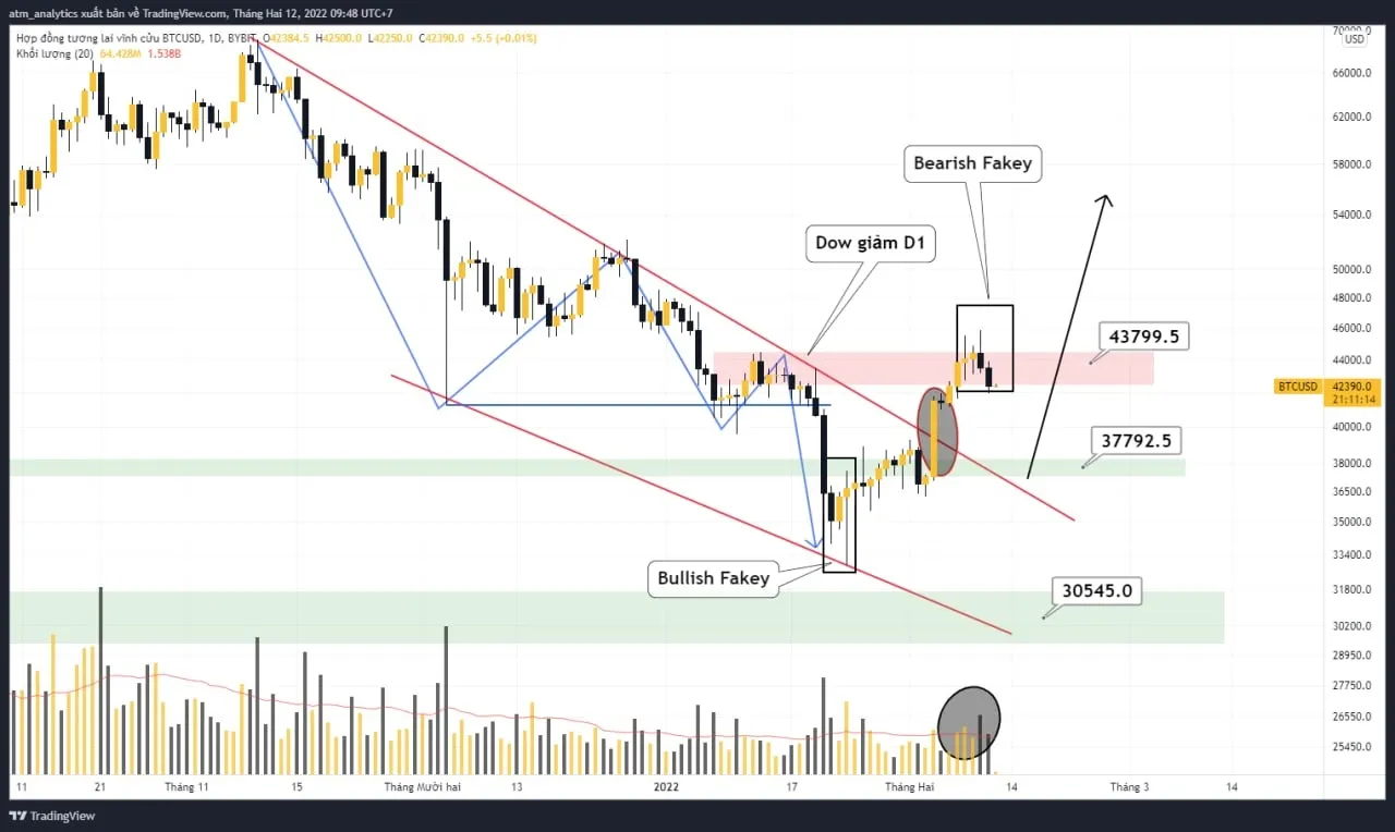 chart btc usdt khung d