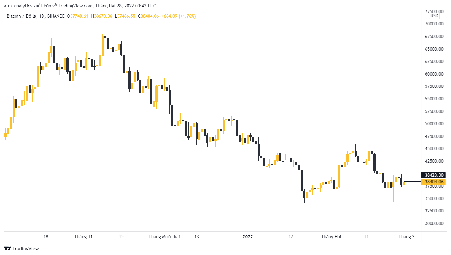 btc giá 38404