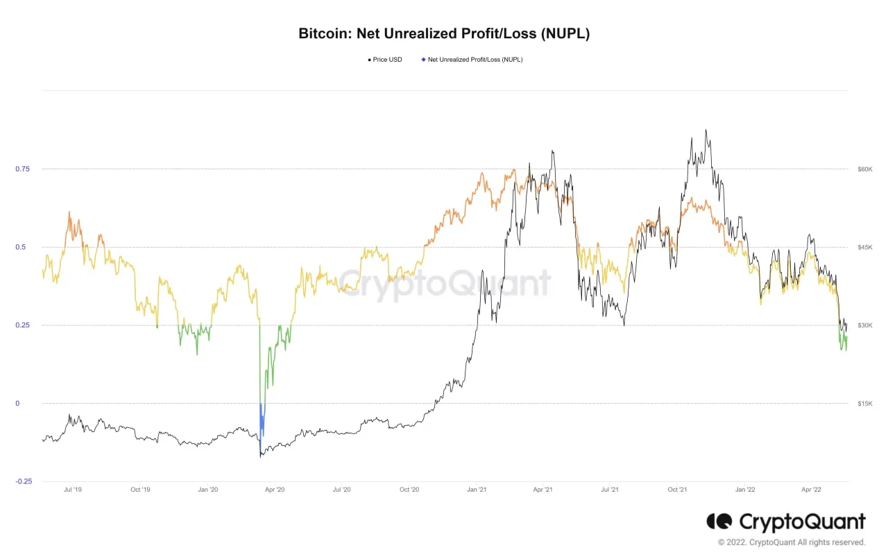 chỉ số lãi lỗ ròng chưa được thực hiện của bitcoin