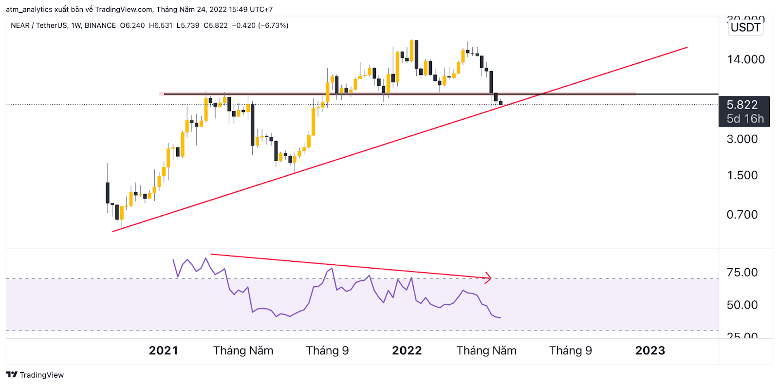 near usdt khung w