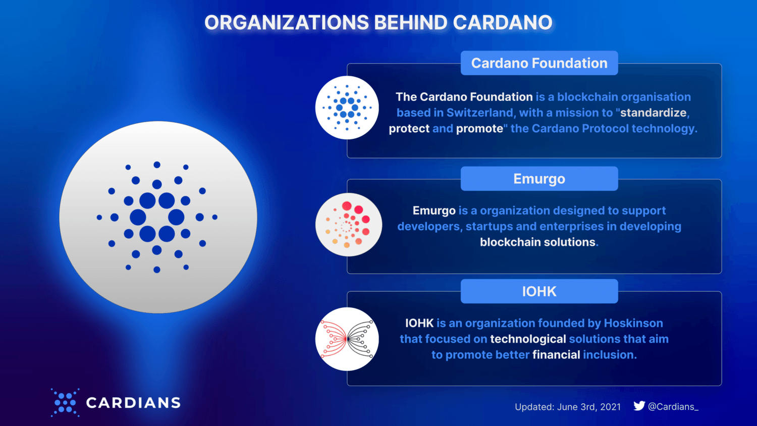 tổ chức đứng sau hệ sinh thái cardano