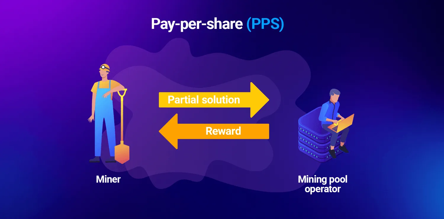 pay per share pss