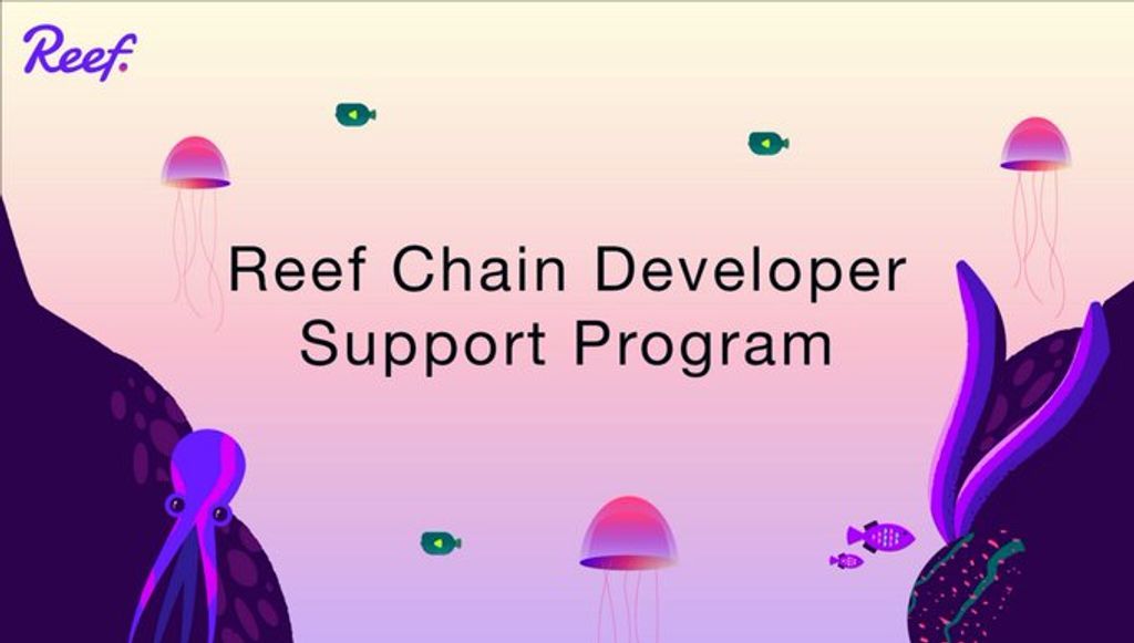 ReefChain Developer Support Program
