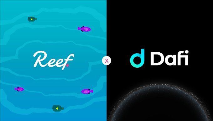 Reef x Dafi
