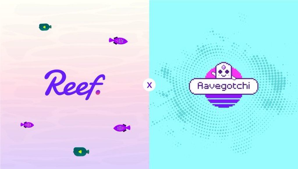 Reef x Aavegotchi